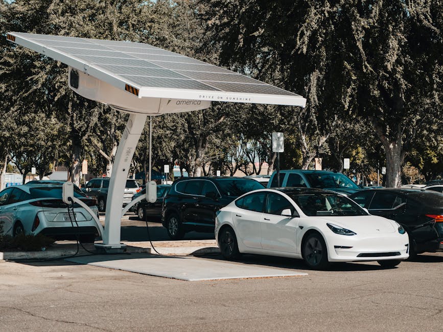 Cidutyy Electric Fleet
